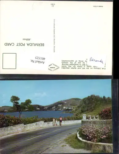 401525,British Overseas Bermuda Millhouse Bay Pink hibiscus darker oleanders Straße Blumen