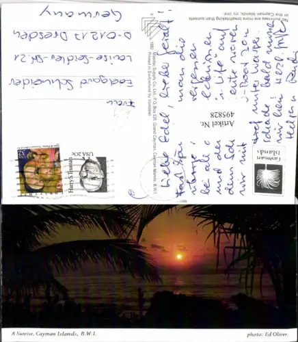 495828,British Overseas Cayman Islands Sunrise Palmen