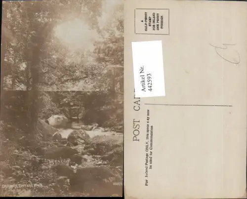 442593,Wales Dolgelly Torrent Walk Bach Partie