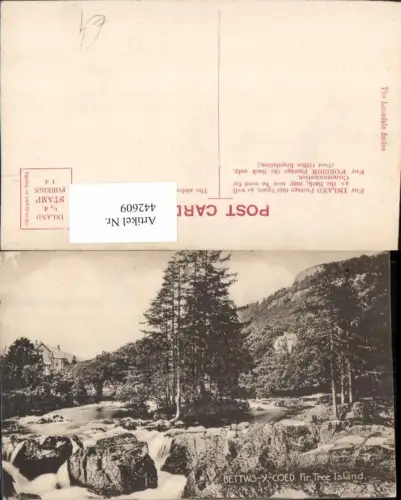 442609,Wales Bettws-y-Coed Fir Tree Island Fluss Wald