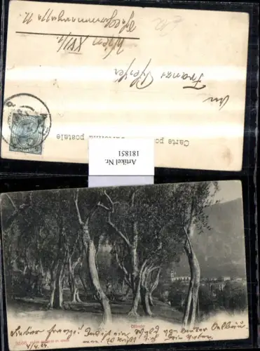 181851,Basilicata Oliveto