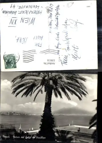 158131,Foto Ak Campania Napoli Neapel Veduta del Golfo da Posillipo Palme Vesuv Vulkan