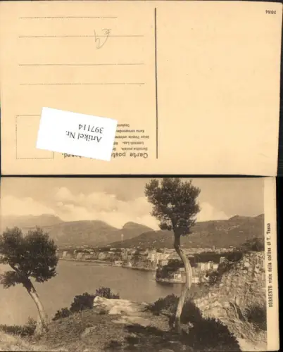 397114,Campania Napoli Sorrento Sorrent visto dalla collina di T. Tasso Totale