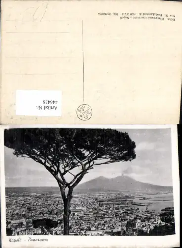 446438,Campania Napoli Neapel Panorama Totale m. Vesuv Vulkan