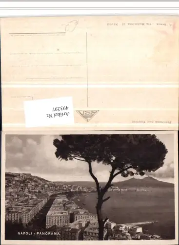 493297,Campania Napoli Neapel Panorama Teilansicht m. Vesuv