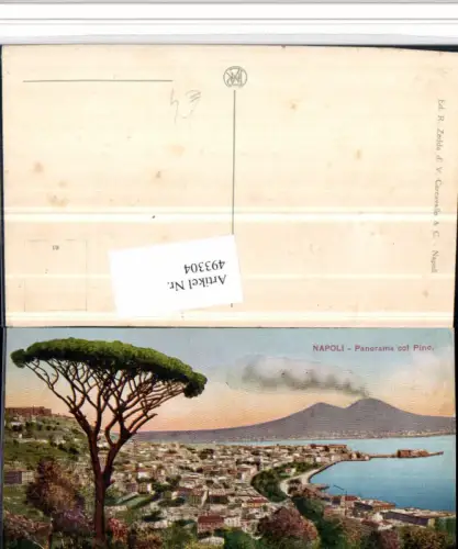 493304,Campania Napoli Neapel Panorama col Pino Totale m. Vesuv