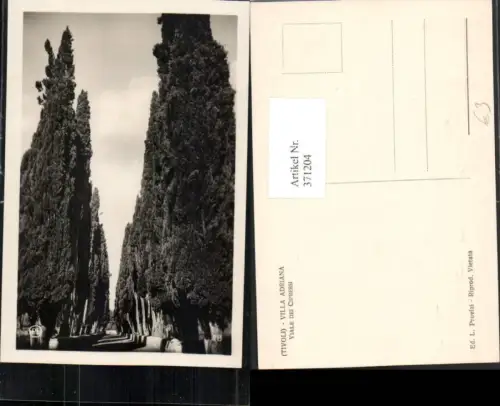 371204,Lazio Roma Tivoli Villa Adriana Viale di Cipressi Zypressen Allee