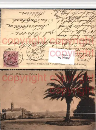 475994,Roma Rom Veduta sul Palatino Palme