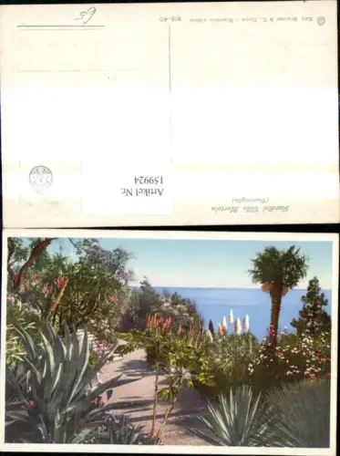 159924,Liguria Imperia Ventimiglia Giardini Villa Mortola
