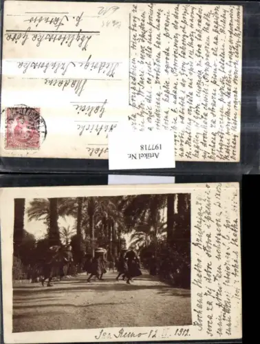 197718,Foto AK Liguria San Remo Frauen m. Hut Straßenansicht Palmen 1912