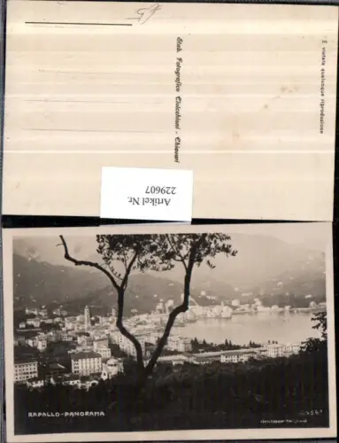 229607,Rapallo Totale Panorama