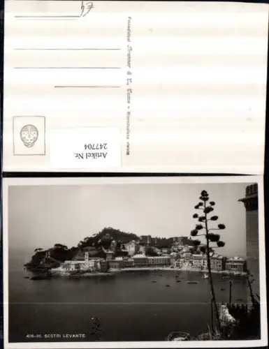 247704,Liguria Genova Sestri Levante Totale