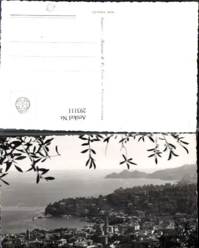 293111,Liguria Genova Rapallo Panorama Totale