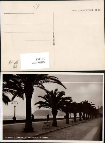 353158,Liguria Savona Alassio Tramonto Passeggiata a Mare Promenade Palmen