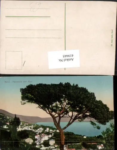 419445,Liguria Genova Genua Nervi Panorama con Pino Teilansicht Baum
