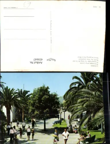 435647,Liguria Savona Loano Passeggiata a mare Promenade Palmen