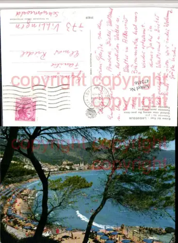 472456,Liguria Savona Laigueglia Panorama tra i pini Strand