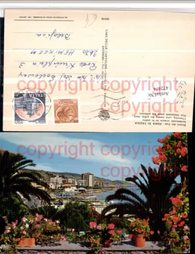 472474,Liguria Imperia Arma di Taggia Incantevole scorcio tra le palme