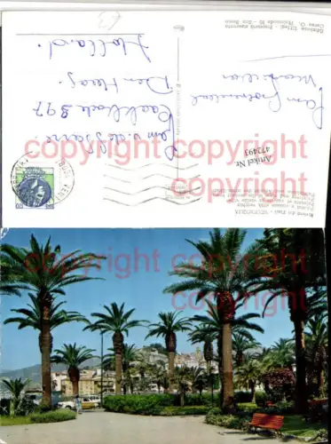 472493,Liguria Imperia Ventimiglia Palmizi e visione citta veccia Palmen