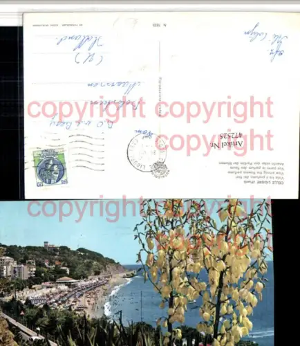 472525,Liguria Savona Celle Ligure Vista tra il profumo di fiori Strand