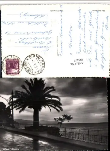 493497,Liguria Imperia Diano Marina Ultimi chiarori Palme Motiv