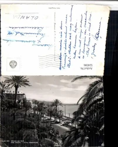 524596,Liguria Imperia Sanremo Corso Imperatrice Straße Palmen
