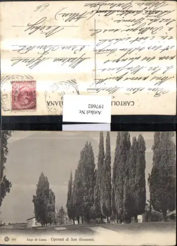 197602,Lombardia Lago di Como Cipressi di San Giovanni Partie Zypressen