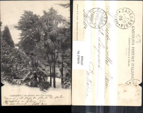 197668,Lombardia Cadenabbia Nel giardino della Villa Carlotta Partie Palmen