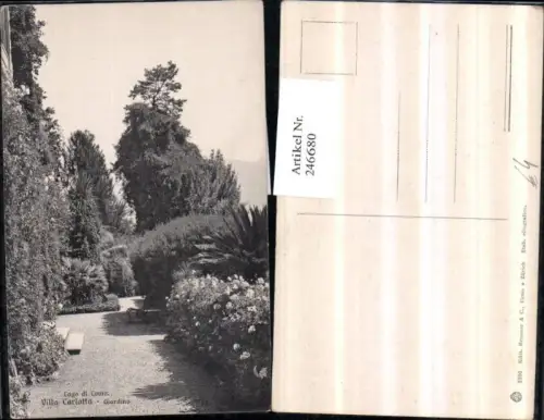 246680,Lago di Como Tremezzo Villa Carlotta Giardino Garten Partie