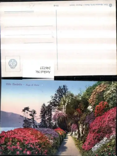 246727,Lombardia Como Tremezzo Lago di Como Villa Carlotta Garten Partie