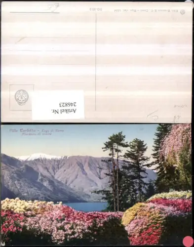 246823,Lombardia Como Lago di Como Tremezzo Villa Carlotta Fioritura di azalee
