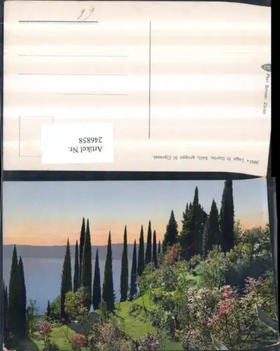 246858,Lombardia Brescia Lago di Garda Salo gruppo di Cipressi Zypressen