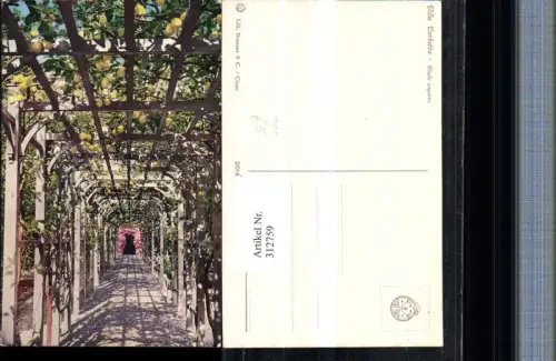 312759,Lombardia Como Villa Carlotta Viale coperto Laube Zitronen