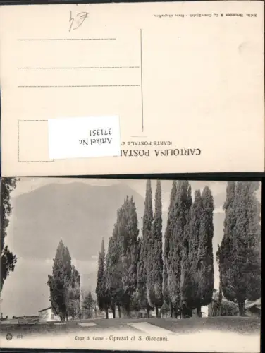 371351,Lombardia Como Lago di Como Cipressi di S. Giovanni Zypressen