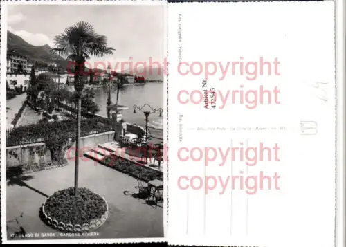 472543,Lombardia Brescia Gardone Riviera Teilansicht Palme