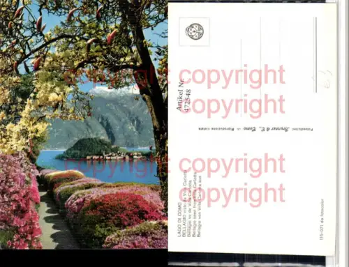 472548,Lombardia Como Bellagio visto da Villa Carlotta Insel