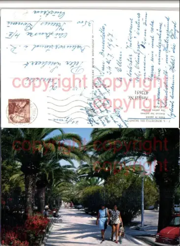 472651,Marche Ascoli Piceno San Benedetto del Tronto Viale le palme Allee