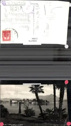 153804,L Isola Bella da Stresa Lago Maggiore Ansicht m. Palmen 1950 Piemonte