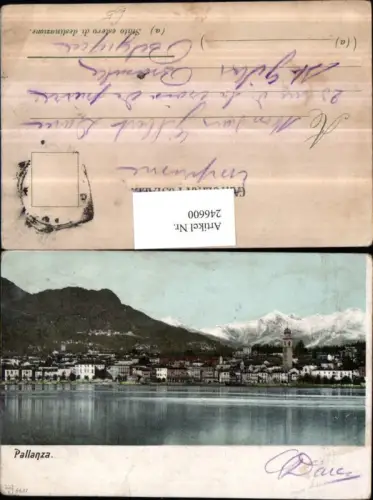 246600,Pallanza Totale