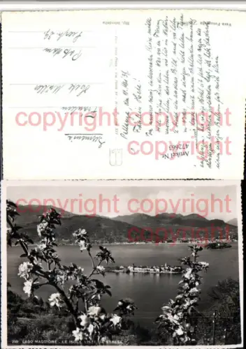 472663,Piemonte Verbano-Cusio-Ossola Isole viste da Stresa Insel