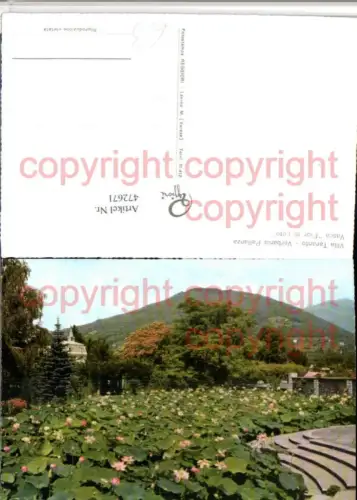 472671,Piemonte Verbano-Cusio-Ossola Verbania Pallanza Vasca Fior di Loto