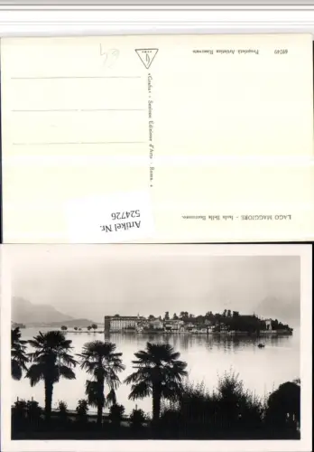 524726,Piemonte Verbano-Cusio-Ossola Isola Bella Insel Borromeo Palmen