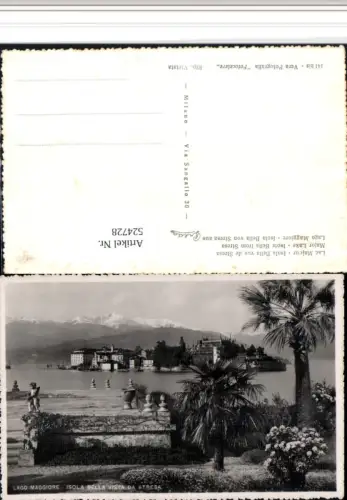 524728,Piemonte Verbano-Cusio-Ossola Isola Bella vue de Stresa Insel Palmen