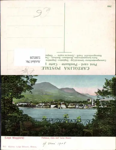 538528,Piemonte Verbania Pallanza Lago Maggiore 1908