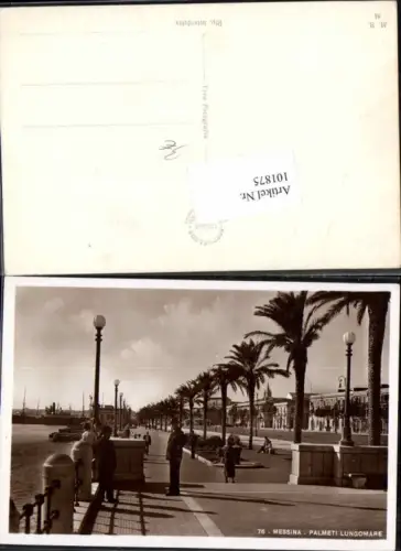 101875,Messina Palmeti Lungomare Palmen am Ufer