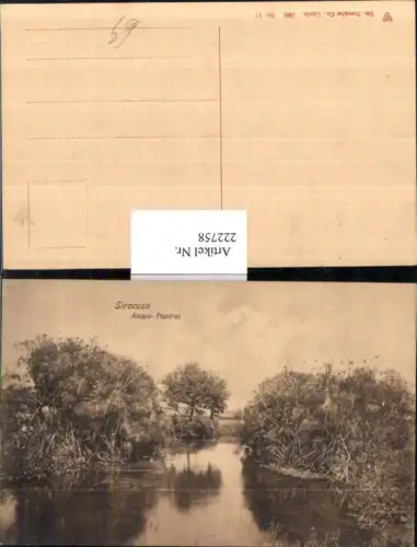 222758,Sicilia Siracusa Anapo-Papirus Partie pub Trenkler e Co 11