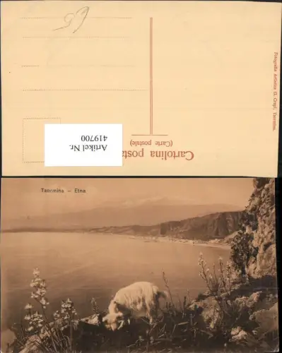 419700,Sicilia Messina Taormina Schaf Tier Etna Küste Vulkan