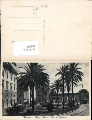 550006,Palermo Porta Felice Cavallo marino