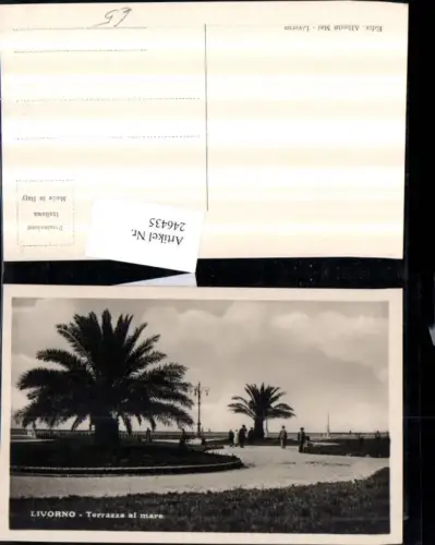 246435,Livorno Terrazza al mare Partie Palmen
