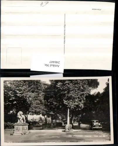 246447,Firenze Florenz Cascine Viale del Re Straßenansicht Denkmal